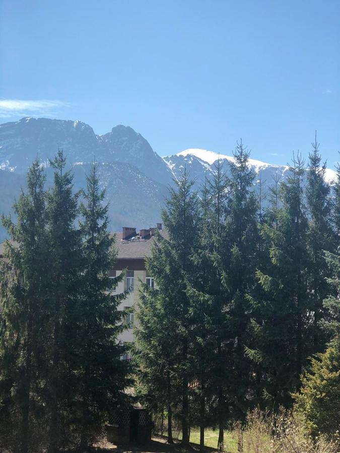 Vektron Leilighet Zakopane Eksteriør bilde